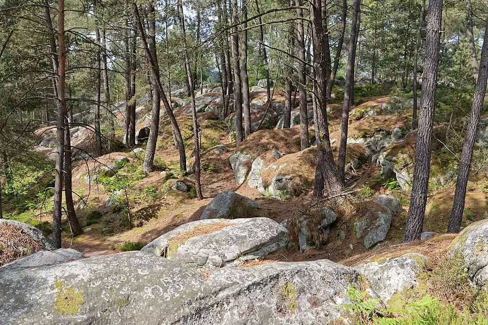 Forêt de Fontainebleau - Sentier d'Appremont avec vue plongeante sur la forêt