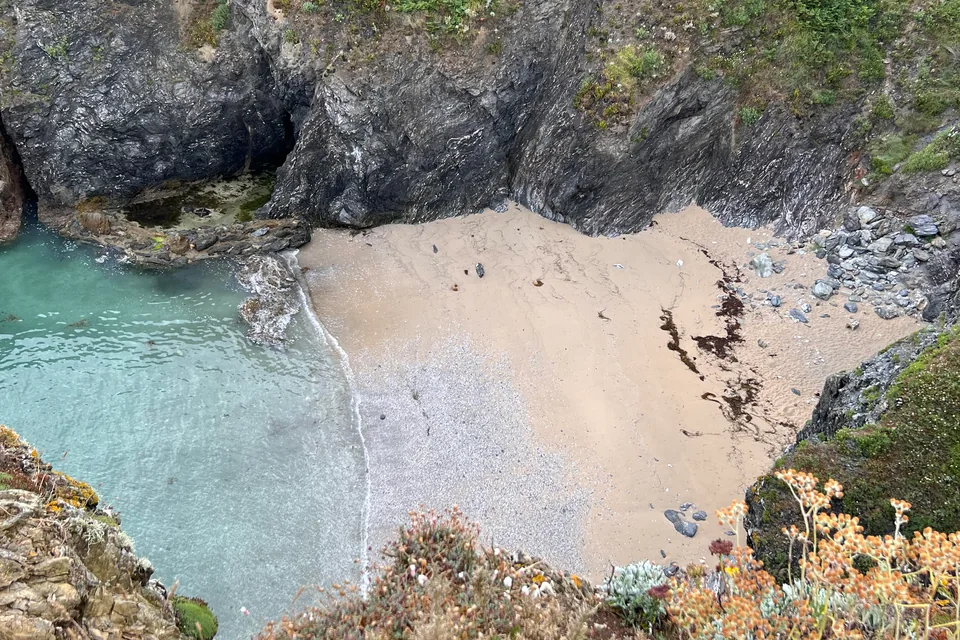 Petite crique de sable aux eaux turquoise vue depuis la falaise fleurie