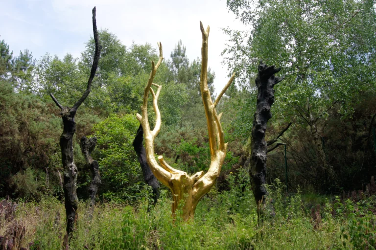 Randonnée en forêt de Brocéliande : quel itinéraire choisir